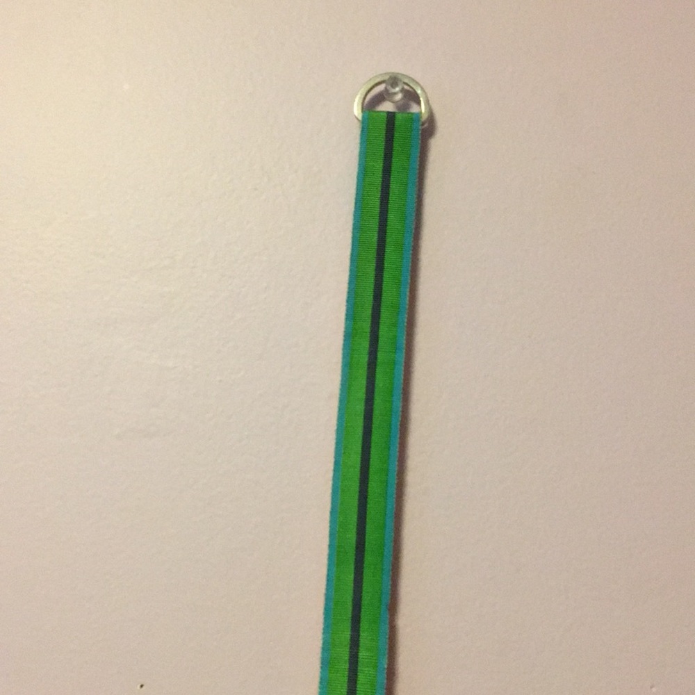 Reversible belt